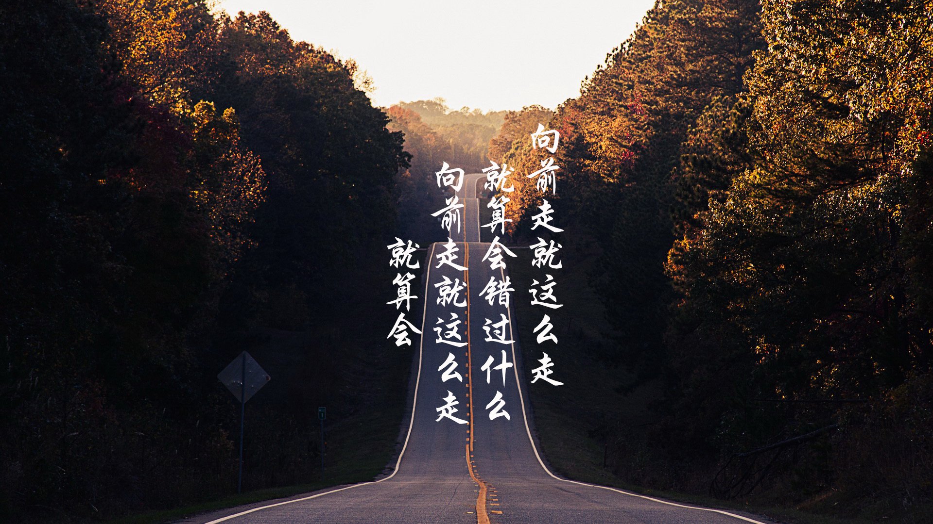 _运动摄影展：捕捉运动瞬间的艺术_，运动摄影有哪些形式