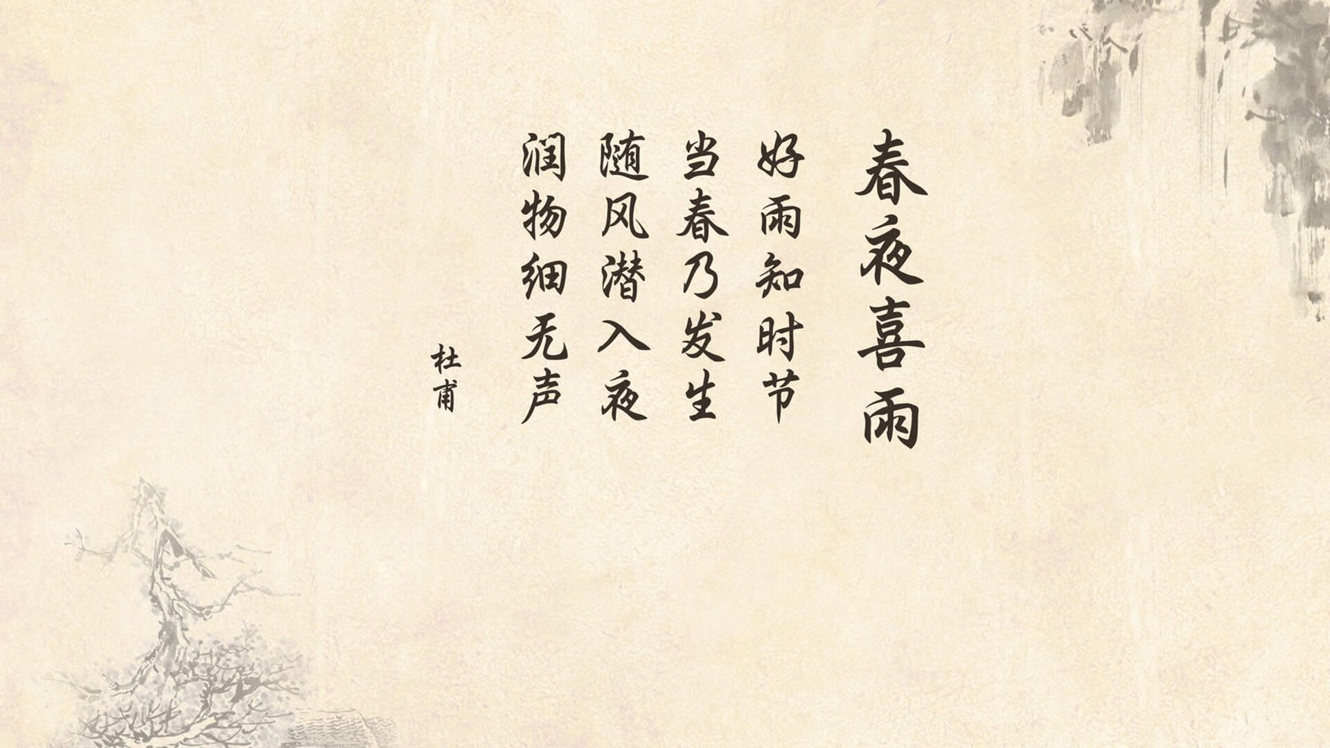 塞内加尔马术协会与国际组织合作，推广“Lamb”至全球。，塞内加尔体育馆