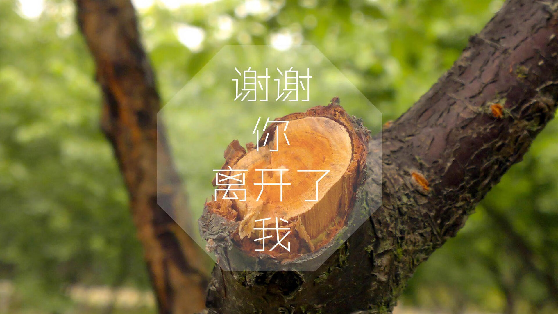 kaiyun官方入口登录-同曦男篮 老将状态回暖，同曦男篮主帅