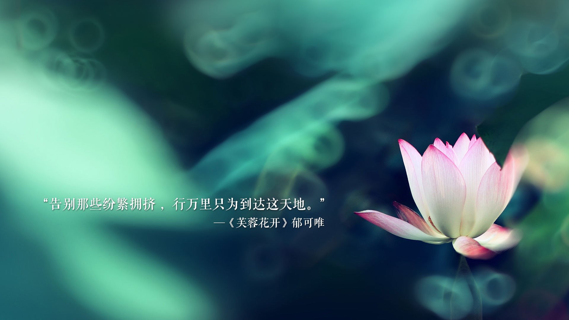 kaiyun登录入口-国足队员发挥出色，携手挺进国际赛八强，国足进过8强吗