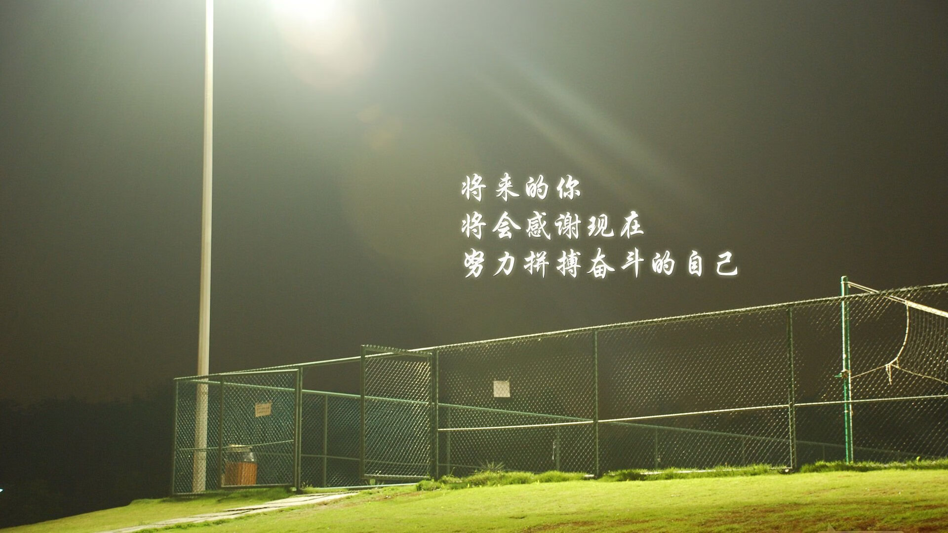 开云官方网站-玫瑰队主控状态回勇，连续砍下+分，玫瑰队口号