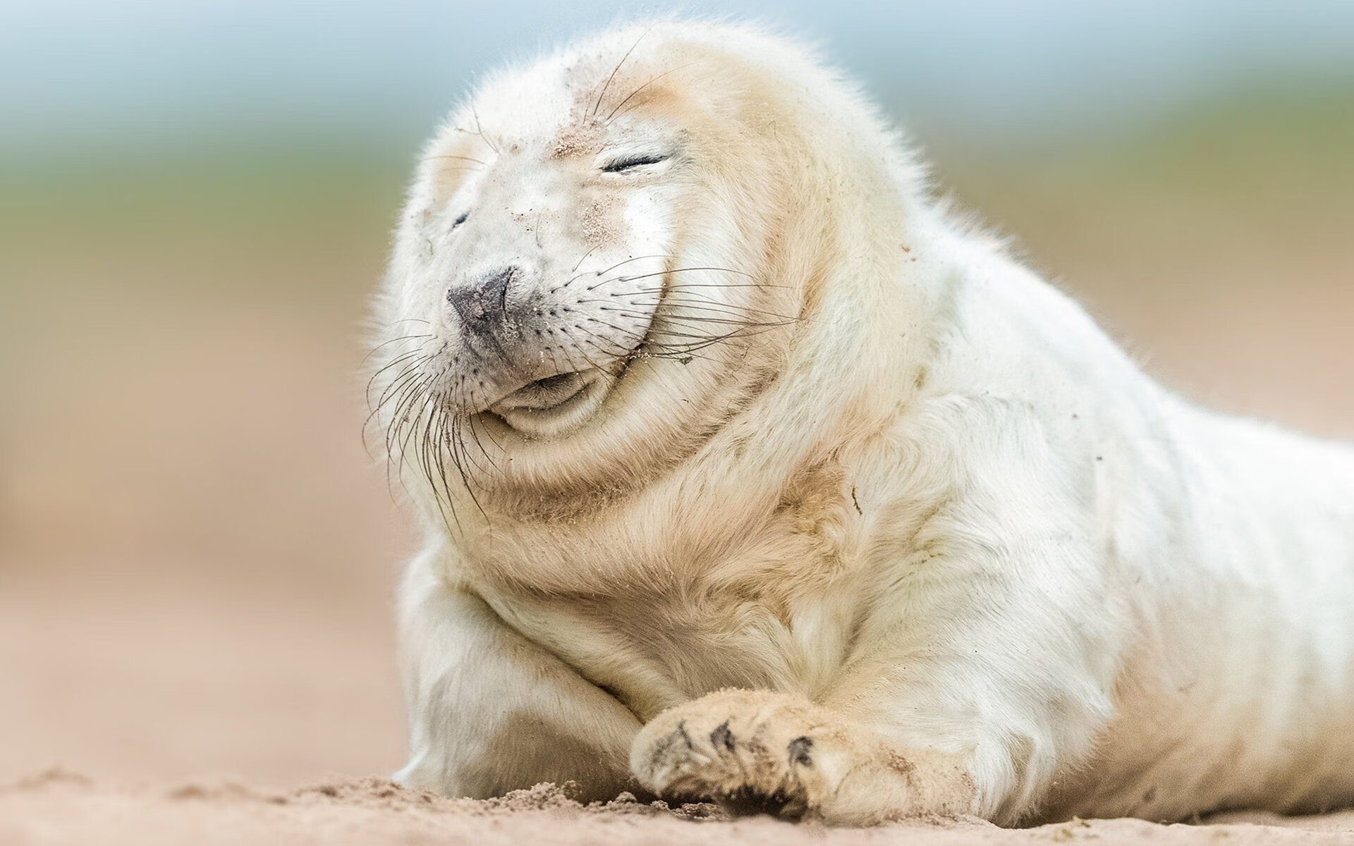 篮球运动员专项技能动作动作捕捉技术开发与应用，篮球的专项技术动作名称及方法