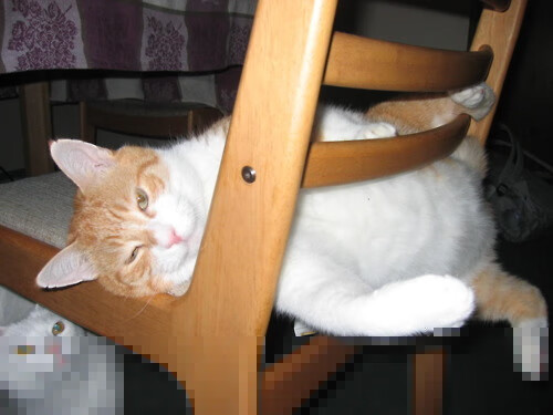 高校运动训练负荷监控技术研究，运动负荷监控方案