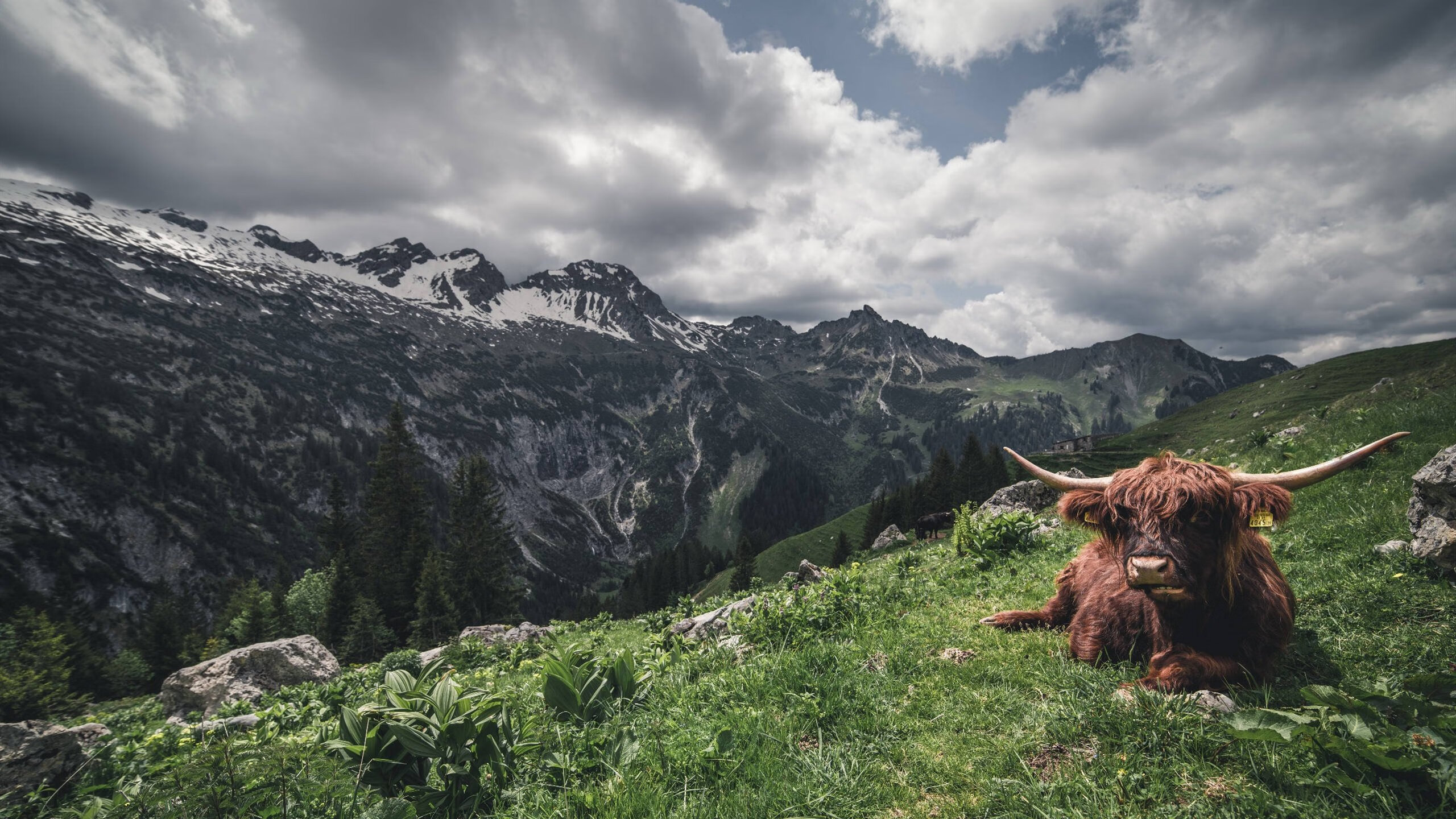 亿级奖金回报无奈出局，尤文盈利战绩夹缝中求存，尤文经典比赛
