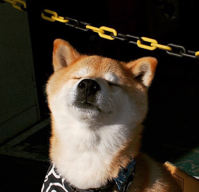 女子举重全国冠军赛中国选手刷新纪录，女子举重中国参赛