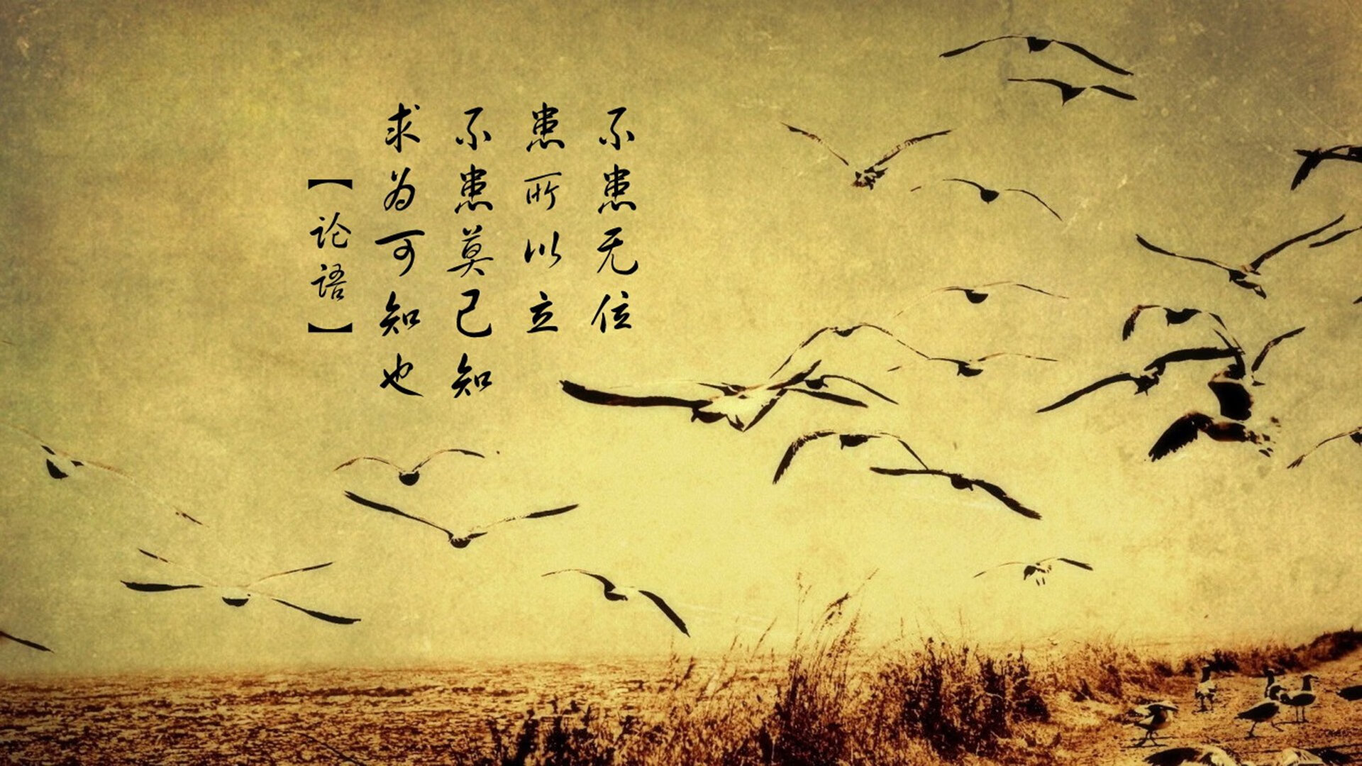 女子举重全国冠军赛中国选手刷新纪录，女子举重中国参赛