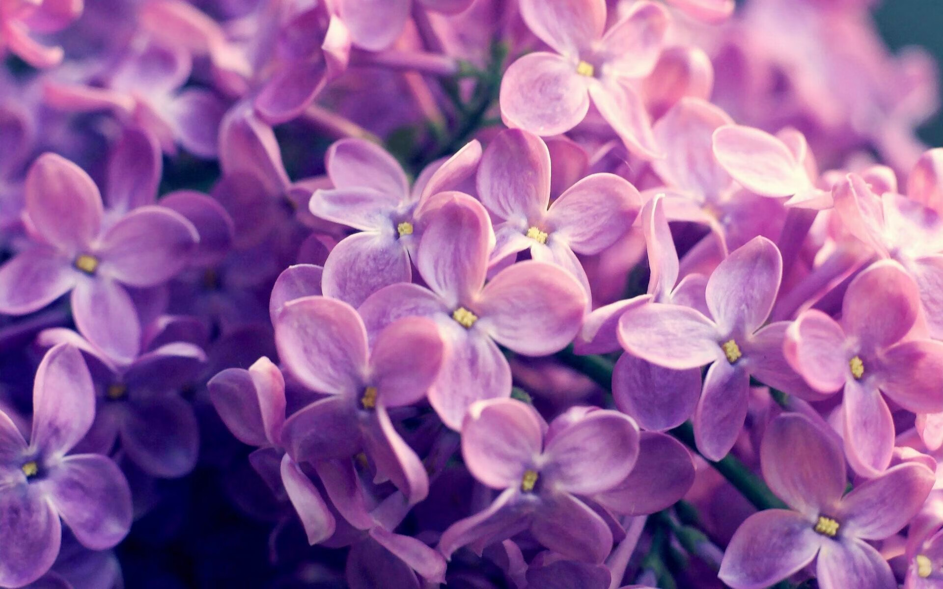 替补球员是否能快速适应比赛节奏变化，替补球员应从什么位置入场