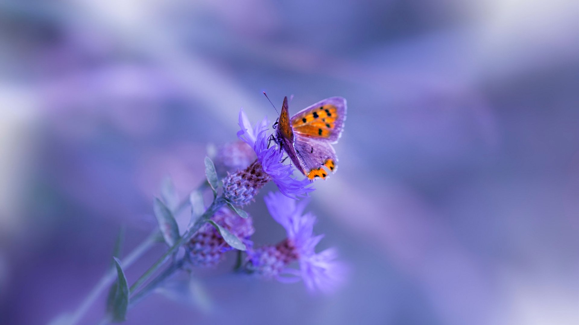 球员心理素质培养方法，球员心理素质培养方法是什么