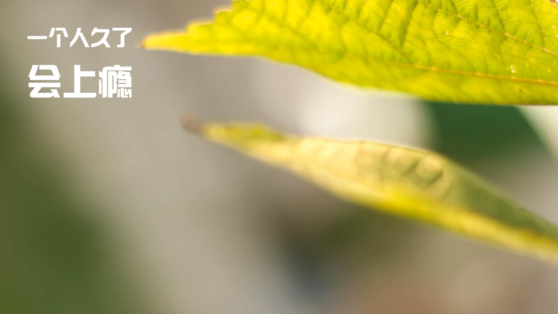 世界杯巅峰时刻：精彩片段让人心动！，世界杯经典比赛视频