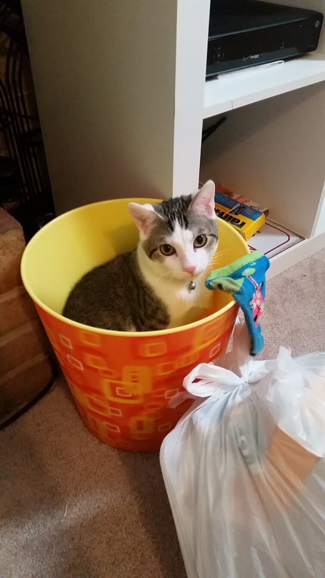 中国足球需补强基层联赛才能筑牢顶层目标，中国足球协会关于足球竞赛规则