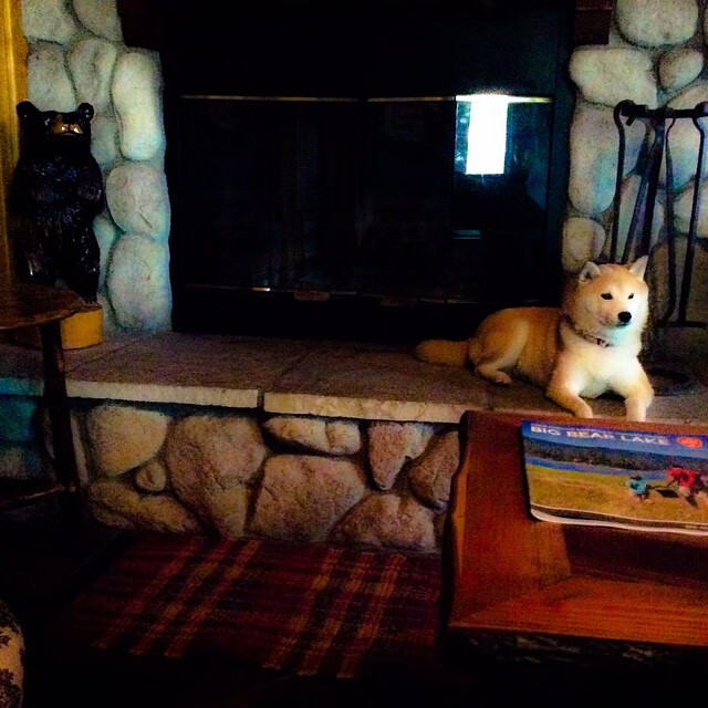 开云官方网页登录-浓眉抢断致胜湖人带动全队节奏，湖人浓眉打什么位置