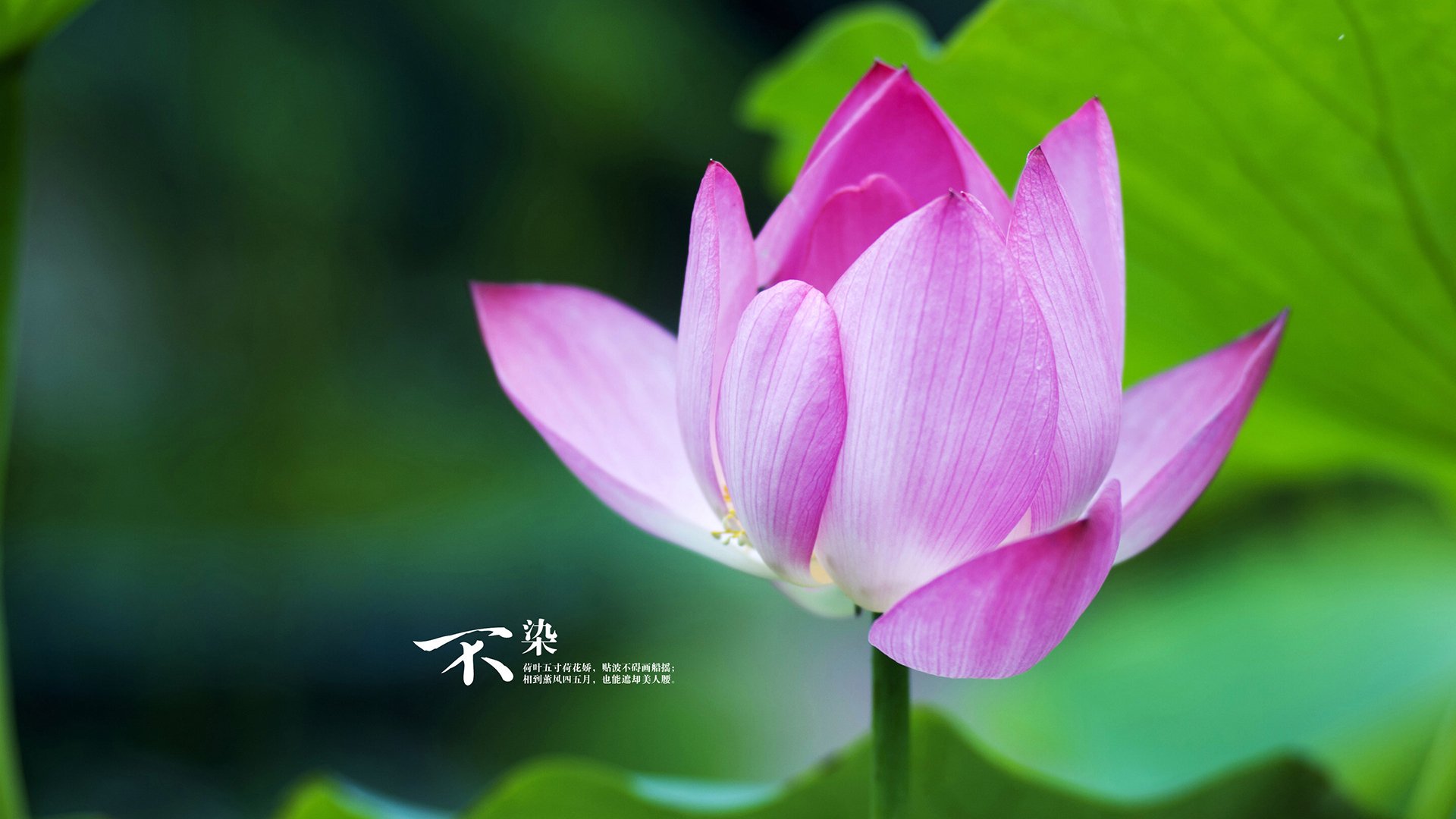 英超的商业广告合作案例，英超场边led广告报价