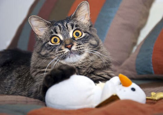 詹姆斯赛后感谢队友称胜利是大家努力，詹姆斯赛后_我已准备好迎接挑战了