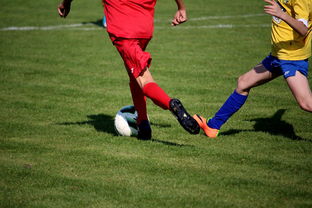 开云kaiyun 官网下载app教程-NBA球员训练计划个性化设计，nba球员训练视频,篮球技术