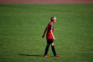 开云娱乐-NBA球员高原训练对平原比赛状态的影响，平原运动员进行高原训练原因